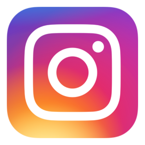 Icône Instagram